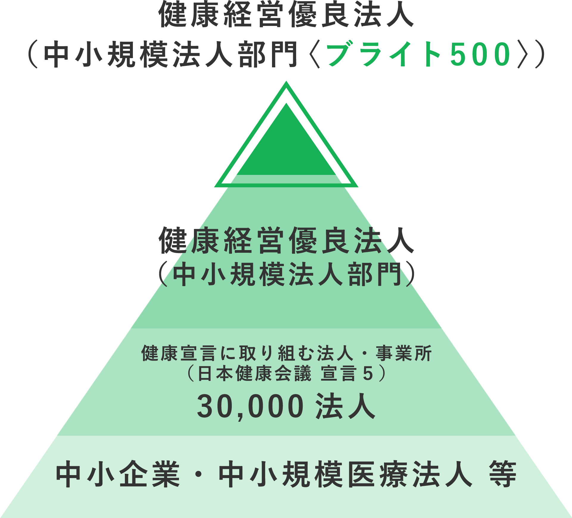 優良な上位500法人に対して「ブライト500」が与えられます