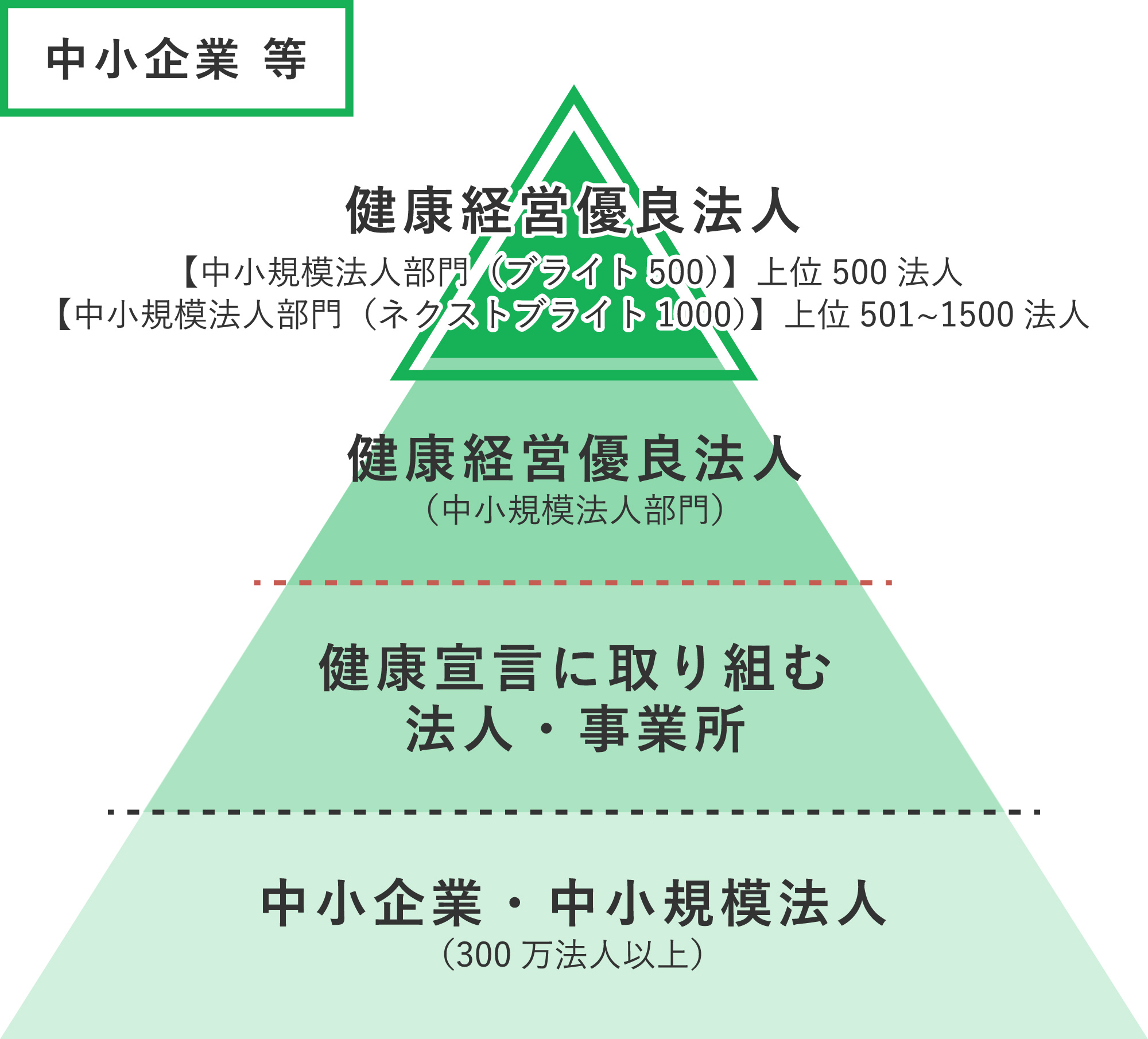 優良な上位500法人に対して「ブライト500」が与えられます。また、健康経営優良法人2025からは、「ネクストブライト1000」という新しい冠も生まれ、優良な上位501位から1500位の法人に与えられます。2025年は「ネクストブライト1000」に選出されました